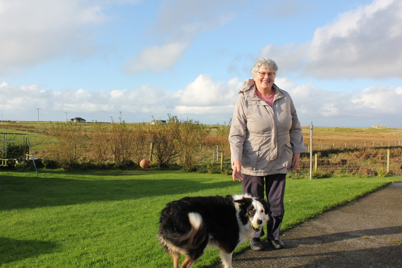 SHADES 224-231 Campbell.jpg SHADES 224-231 Campbell.jpg